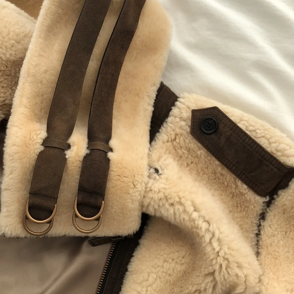 Burberry Runway AW18 Double Collar Shearling Aviator Jacket - Picture 7 of 16